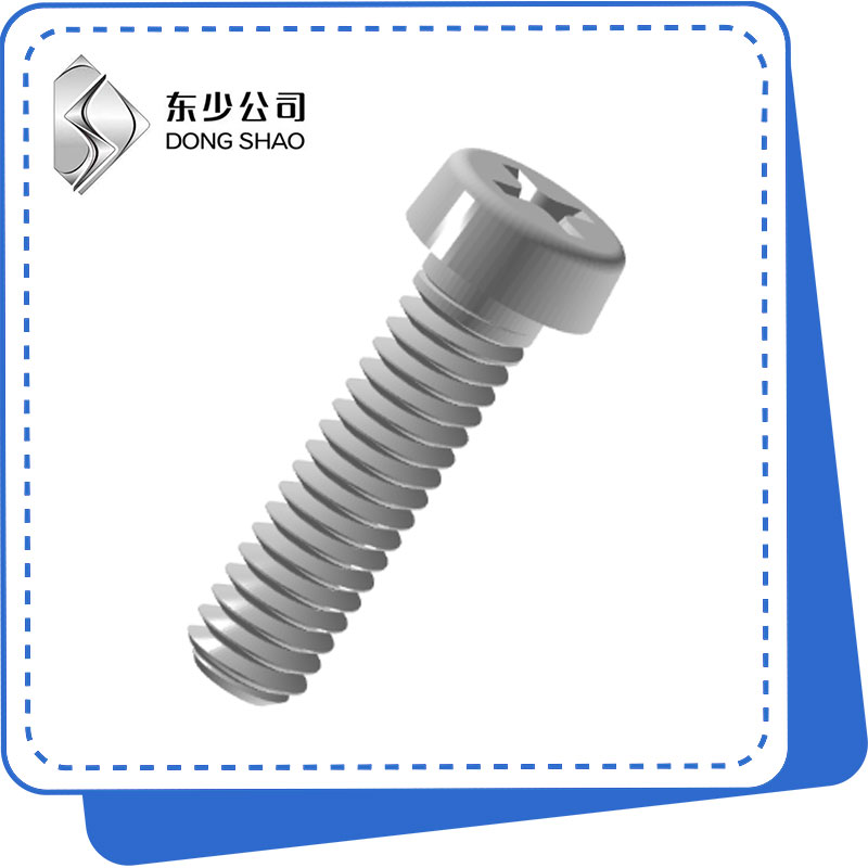 Kruco Recessed Cheese Head Screws