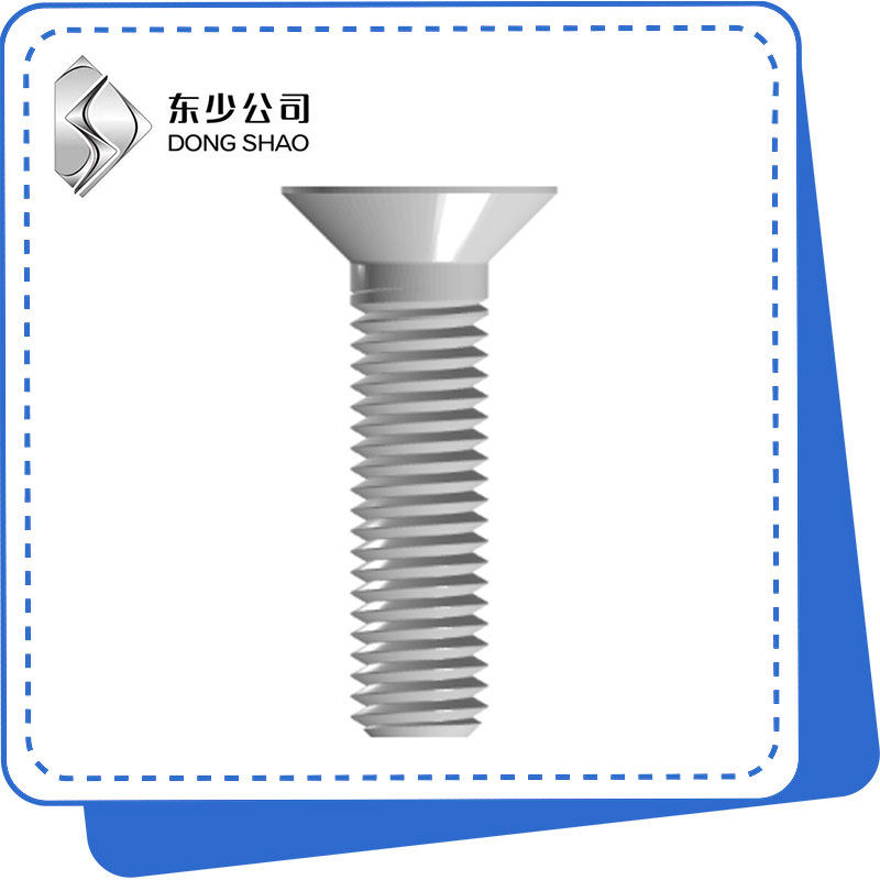 Hexagon Socket Plata Countersunk Head Kapŝraŭboj